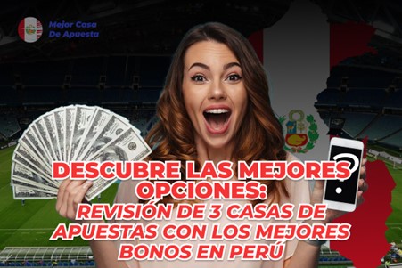 1. Compara diferentes opciones